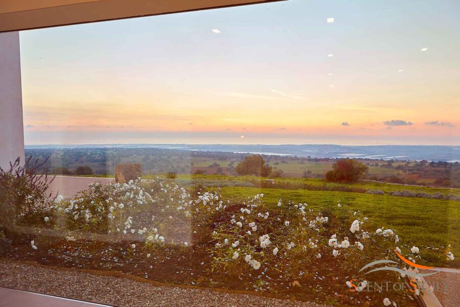 Magic view from the windows