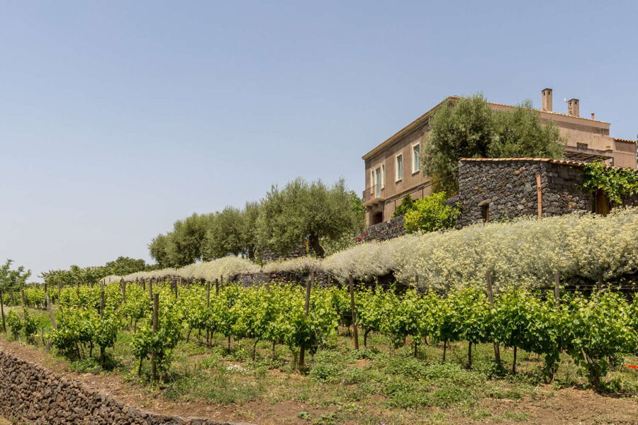 VillaSciara_Regalna_TaorminaArea_GeneralOverview_ScentOfSicily