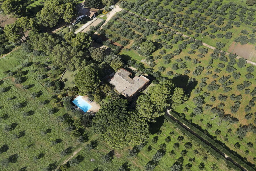 Aerial shot of Villa Selvira surrounded by olive trees, lush gardens, and a private pool in Sicily
